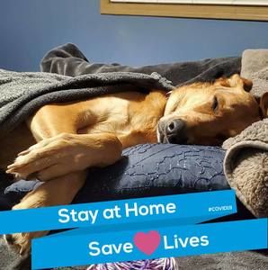 Meet your Posher, Gina